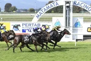 AVADANE - MATAMATA 8-5-2019 - RACE IMAGES PHOTO Long Jack