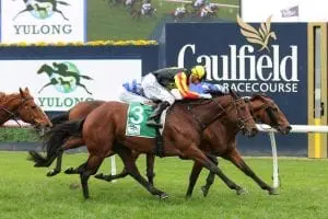 Kiwi stayer rocks on first-up for new trainer Rock On