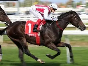 Brisbane carnival awaits in-form Zoutori Zoutori