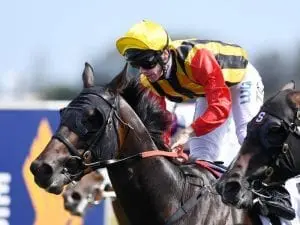 Boomsara ready to bounce back at Doomben Boomsara ready to bounce back at Doomben
