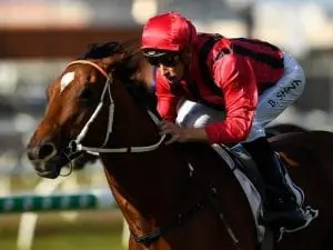 Ron Stewart gets rare ride for Kris Lees Ron Stewart gets rare ride for Kris Lees