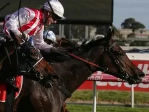 Our Libretto on path towards Brisbane Cup Our Libretto on path towards Brisbane Cup