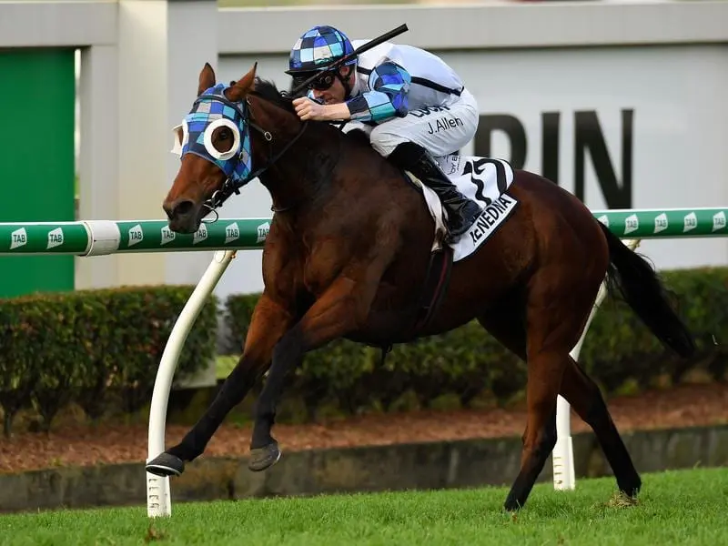 Doomben Cup winner Kenedna will try to win the Group Two O'Shea Stakes at the same track. kenedna