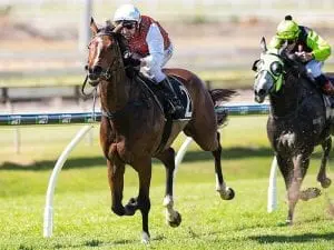 Order Again will stay at 1600m at Doomben Order Again will stay at 1600m at Doomben