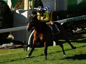 Purple Sector ends autumn on winning note Purple Sector ends autumn on winning note
