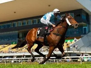 River Racer heads south after Doomben win River Racer heads south after Doomben win