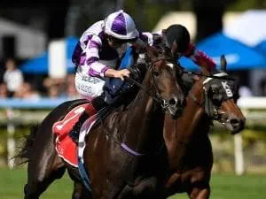 Promising 3YO Ef Troop back in business Promising 3YO Ef Troop back in business