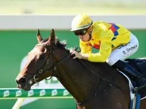 Bad habit can’t stop Vega One at Doomben Bad habit can't stop Vega One at Doomben