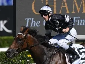 Ben looking for first Group One win Ben looking for first Group One win