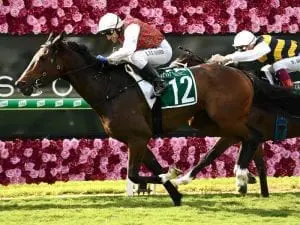 Order Again makes late bid for Stradbroke Order Again makes late bid for Stradbroke