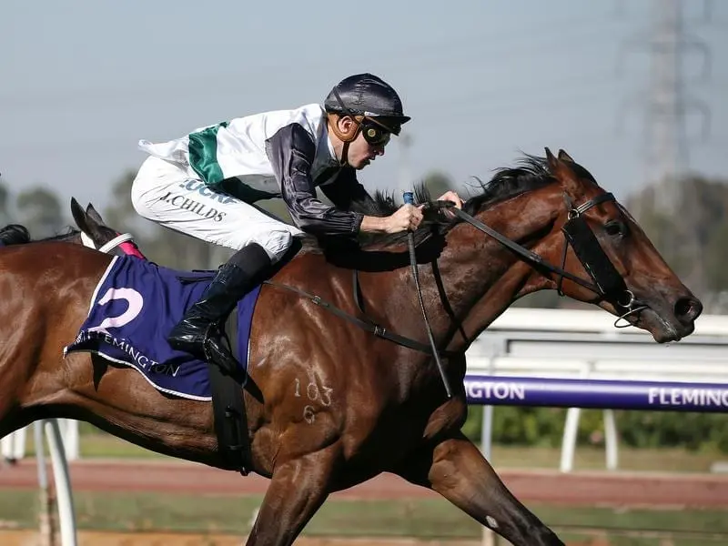 Victoria Derby plans are on the table for Independent Road after the juvenile's win at Flemington. Independent Road