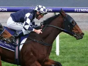 Order Of Command wins again at Flemington Order Of Command wins again at Flemington