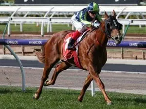 Sebrakate returns with easy Flemington win Sebrakate returns with easy Flemington win