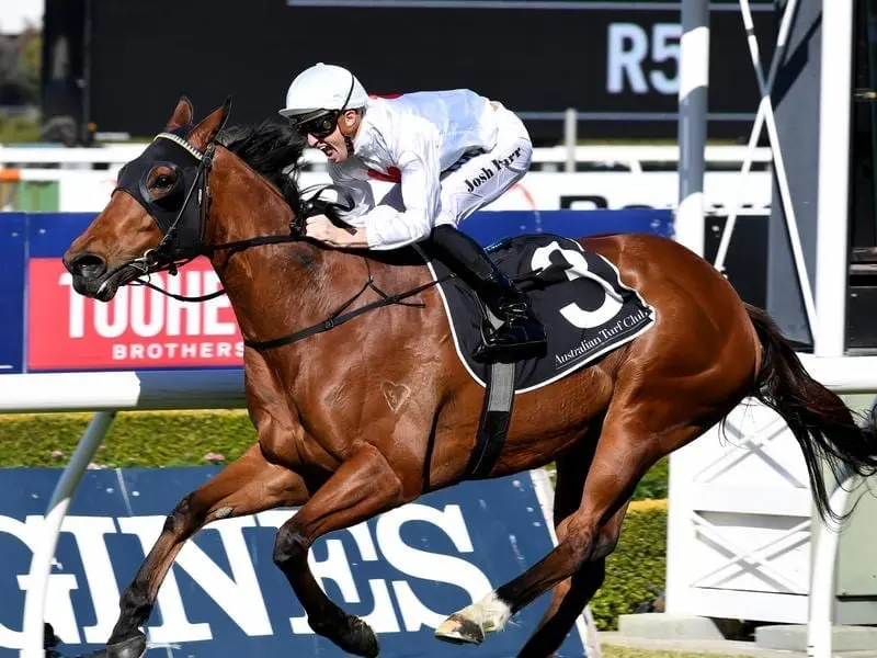 Group-winning sprinter Deploy is ready for his return at Scone after two pleasing barrier trials. deploy