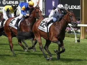 Sunlight confirmed as Everest runner Sunlight confirmed as Everest runner
