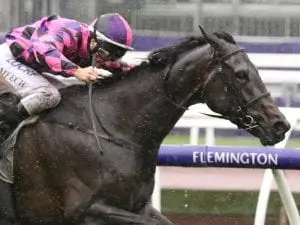 Cumani keeps One More Try on home soil Cumani keeps One More Try on home soil