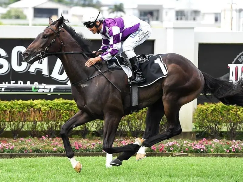 Trainer Tony Gollan will consider two-state options for Ef Troop with rain thwarting his return. ef troop