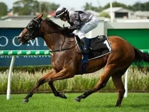 Houtzen impresses after Newmarket spin Houtzen impresses after Newmarket spin