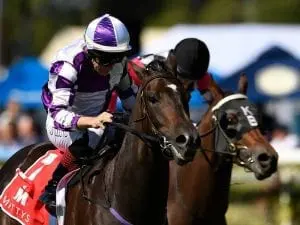 Jeff Lloyd likely to appeal suspension Jeff Lloyd likely to appeal suspension
