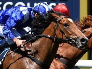 Qafila set to back up in G1 SA Derby Qafila set to back up in G1 SA Derby