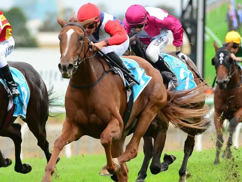 Winning Ways is Queensland Oaks bound after winning the Listed Gold Coast Bracelet over 1800m. Winning Ways.