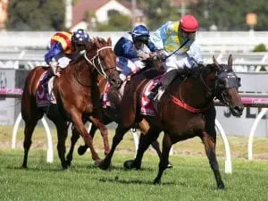 Dwayne Dunn after first Goodwood on Booker Dwayne Dunn after first Goodwood on Booker