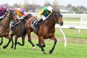 HINERANGI - RANGITIKEI 18-5-2019 RACE IMAGES PHOTO PETER RUBERY Hinerangi