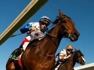 The Bostonian wins G1 Kingsford Smith Cup The Bostonian wins G1 Kingsford Smith Cup