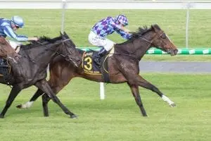 Princess Jenni Oaks Morphettville 4.5.19 Atkins Photography Princess Jenni