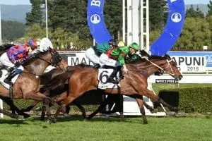 Raymond Connors shooting for repeat double She’s Poppy