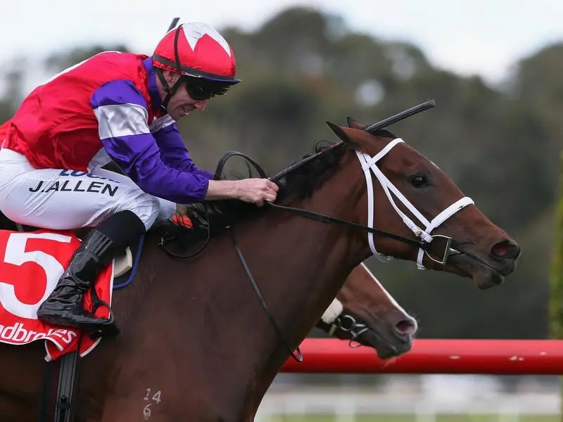 Trainer Phillip Stokes hopes Sandown winner Eclair Breeze can progress to feature spring races. eclair breeze