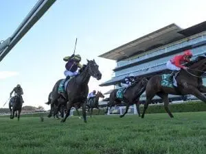 Double shot at Guineas for Tracey Bartley Double shot at Guineas for Tracey Bartley