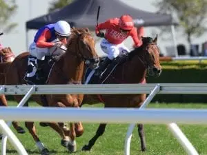 Military Zone chasing another Guineas win Military Zone chasing another Guineas win
