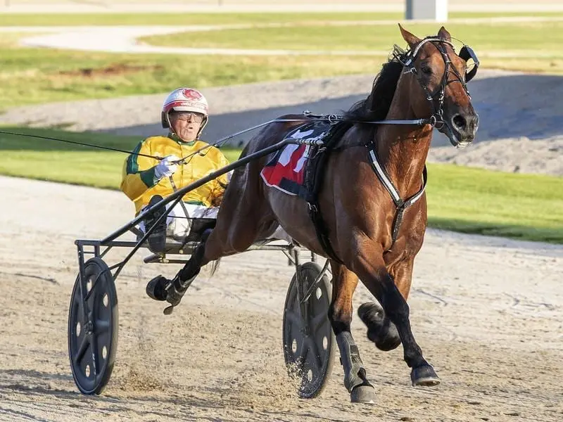 Champion reinsman Chris Alford is on track to make history again with a 100th Group One win. Chris Alford