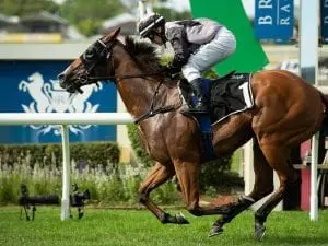 Barrier 11 for Houtzen in King’s Stand Barrier 11 for Houtzen in King's Stand