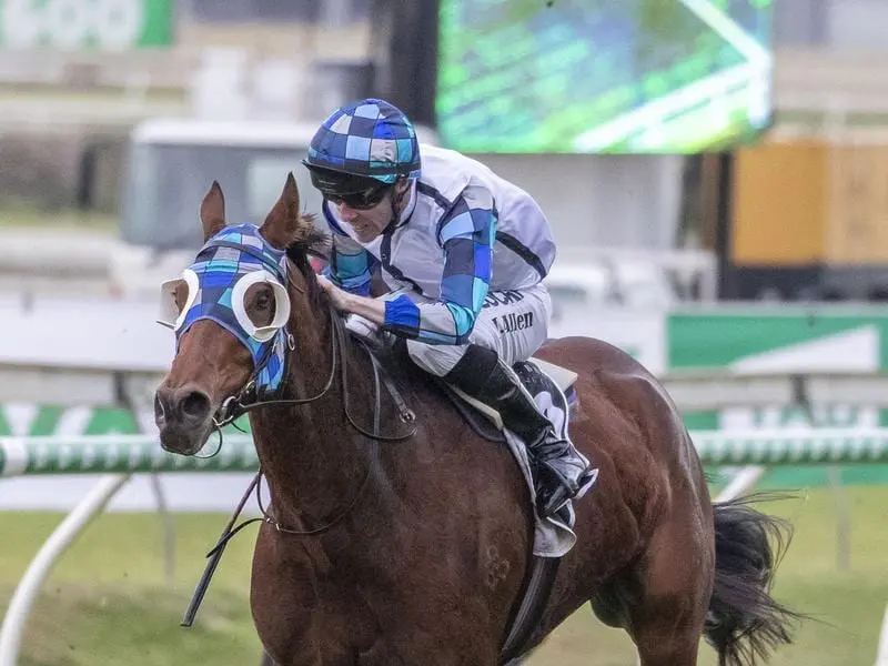 Kenedna wins the PJ O'Shea Stakes at Doomben.