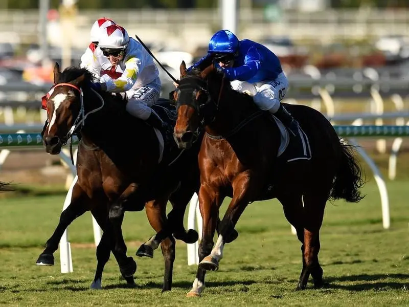 Jockey Tim Clark rides Duca Valentinois (right) to victory