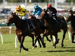 Vega One justifies Eagle Farm quote Vega One justifies Eagle Farm quote