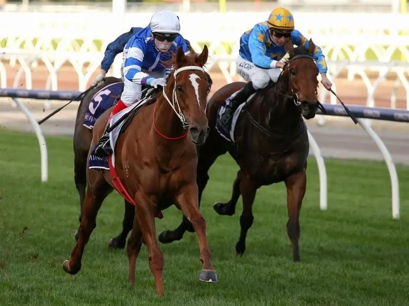 Jockey Craig Williams rides Gytrash to victory