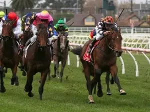 The Astrologist chasing winning hat-trick The Astrologist chasing winning hat-trick