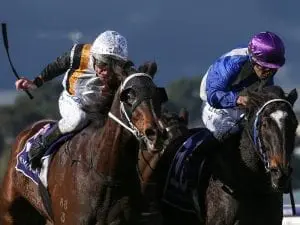 Chouxting The Mob wins again at Flemington Chouxting The Mob wins again at Flemington