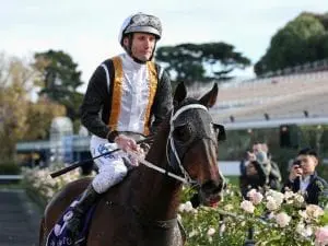 Damien Oliver suspended for eight meetings Damien Oliver suspended for eight meetings