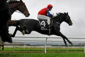 GALLANTE - MANAWATU 15-6-2019 RACE IMAGES PHOTO PETER RUBERY Gallante