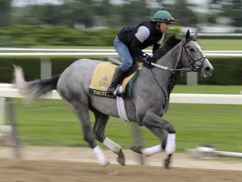 belmont stakes