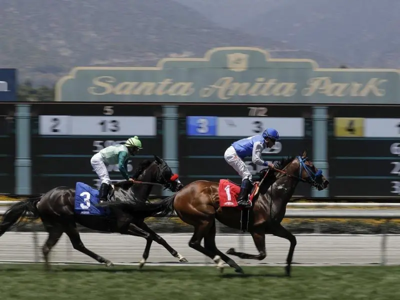 The Breeders Cup meeting will stay at Santa Anita despite concerns over horse deaths at the track. santa anita