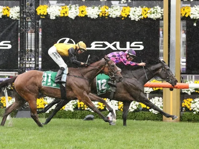 One More Try (r) will be accepted in two cities with trainer Matt Cumani to weight up the fields. one more try