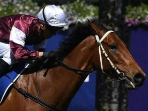 Eckstein trials brilliantly at the Coast Eckstein trials brilliantly at the Coast