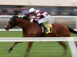 Halvorsen on target for Creswick Stakes Halvorsen on target for Creswick Stakes