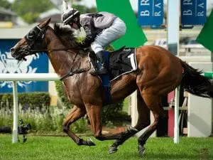 Houtzen continues Royal Ascot build-up Houtzen continues Royal Ascot build-up