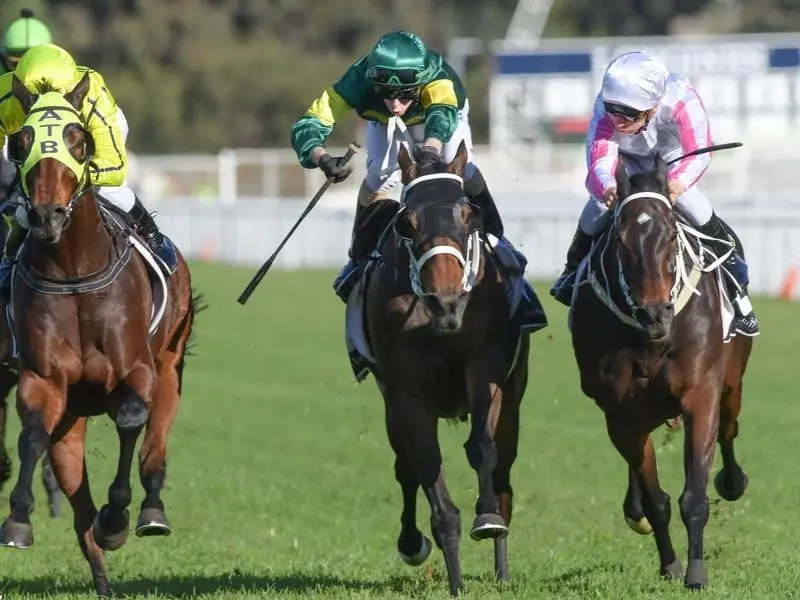 Winter Cup winner Destiny's Kiss (r) will return to Rosehill for his 98th start. destiny's kiss
